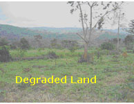 Land degradation