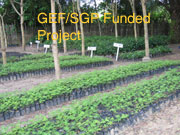 GEF/SGP Funded Projects